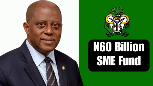 How to Get N60 Billion SME Fund