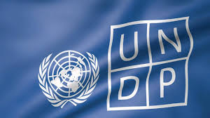 UNDP: Support Nigeria on Tax Crime